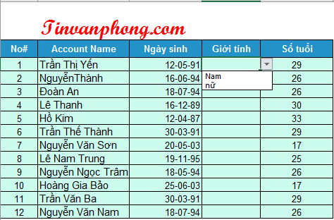 Data Validation trong Excel