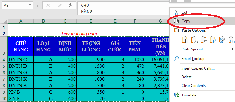 Cách copy dữ liệu từ Excel sang Word