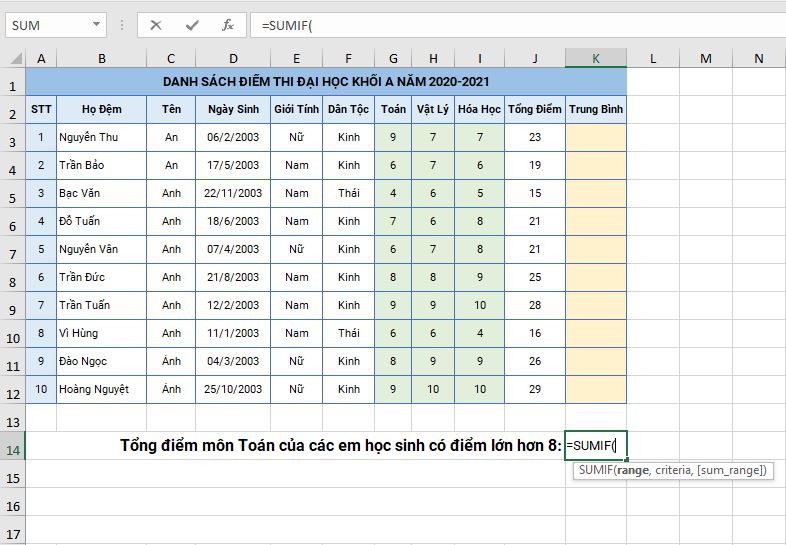 vi-du-tinh-sumif-trong-excel-2019-buoc-2