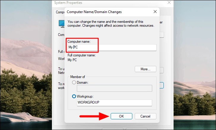 Cách thay đổi tên máy tính trên Windows 11 (6)