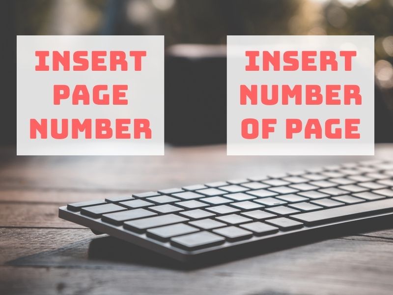 Phân biệt Insert Page Number và Insert Number of Page